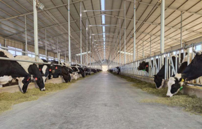 抗疫情、稳产业、倡健康 关键时刻蒙牛彰显“国家队”风范，全力保障生鲜乳收购