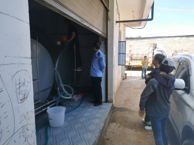 云南宜良县开展生鲜乳质量安全监测与收购站现场检查，守护“奶瓶子”安全