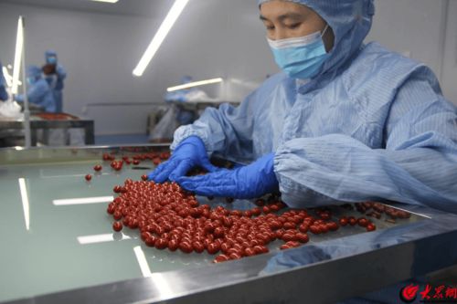 南极维康透明工厂体验 揭秘健康食品与生鲜乳收购的全过程